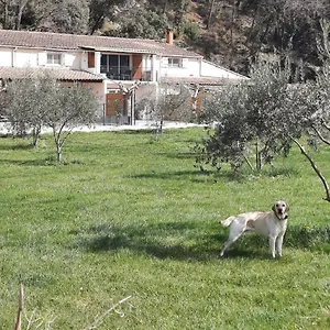 Hébergement de vacances Le Mas Des Oliviers, Puget